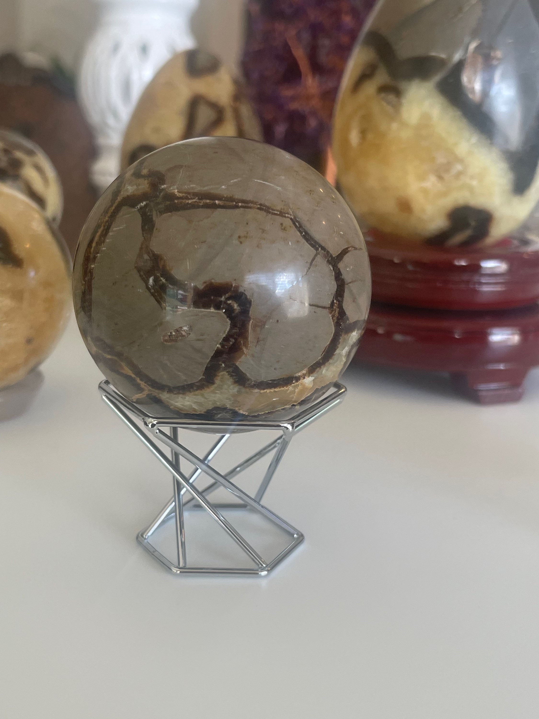 Septarian Family
