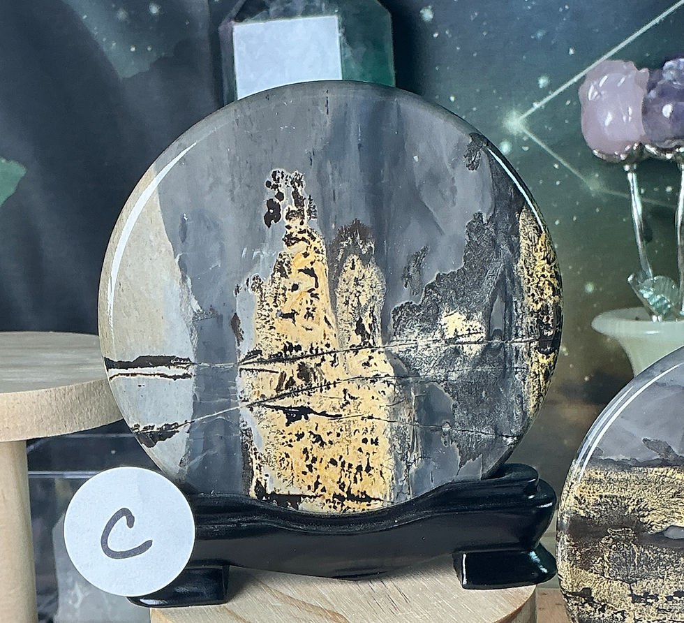 Thumbnail: 🌄 “Earthscape Visions” Picture Jasper Display Plates