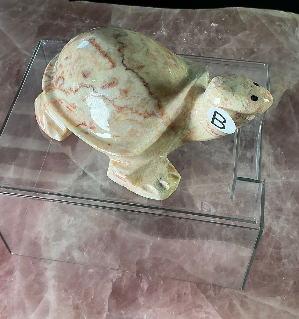 Thumbnail: Pork Stone Turtle Collection