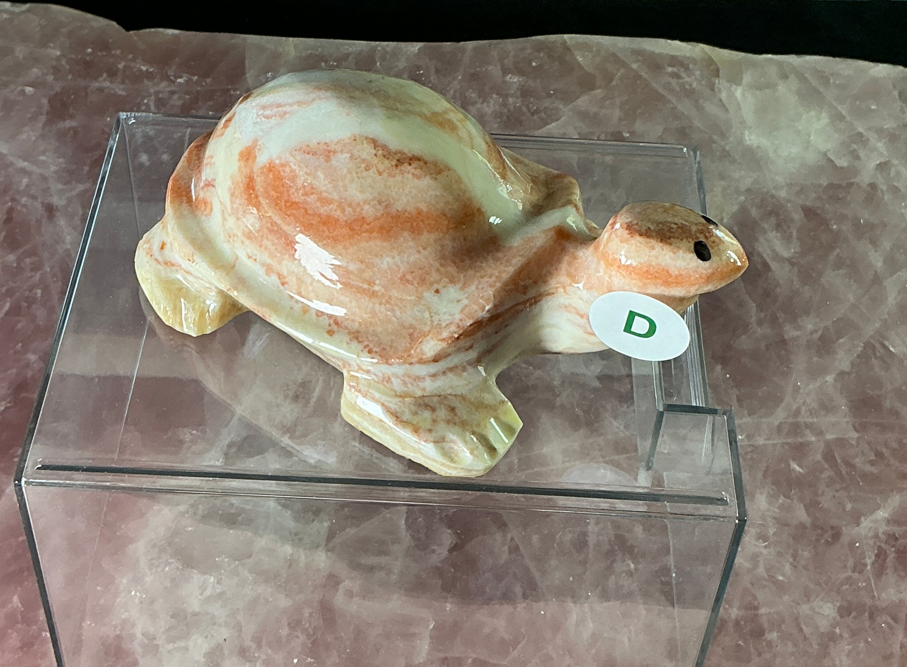 Pork Stone Turtle Collection