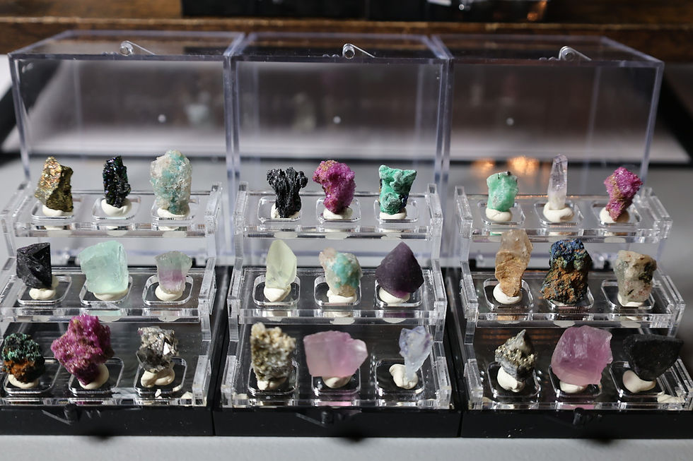 Thumbnail: Mystery Mini Specimen Boxes!