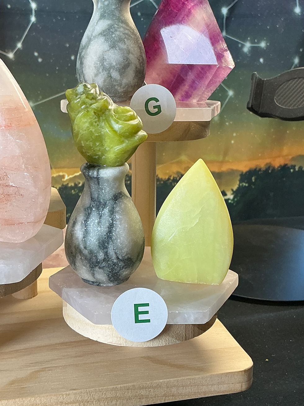 Thumbnail: ✨ Crystal Flower Pot & Freeform Display Collection ✨