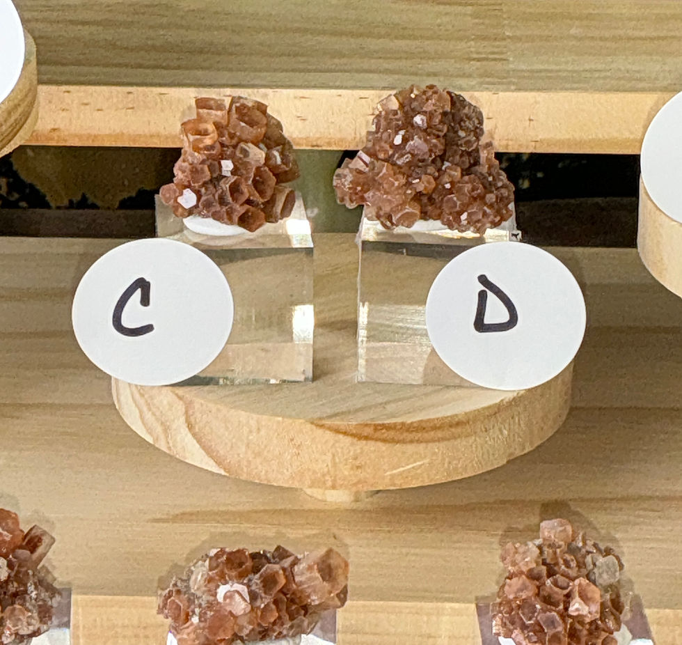 Thumbnail: ✨ Imperial Earthfire Aragonite Rosettes — Elite Collector’s Series ✨