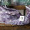 Thumbnail: Majestic Fluorite Dragon Head Carvings - Wisdom, Protection, & Harmony
