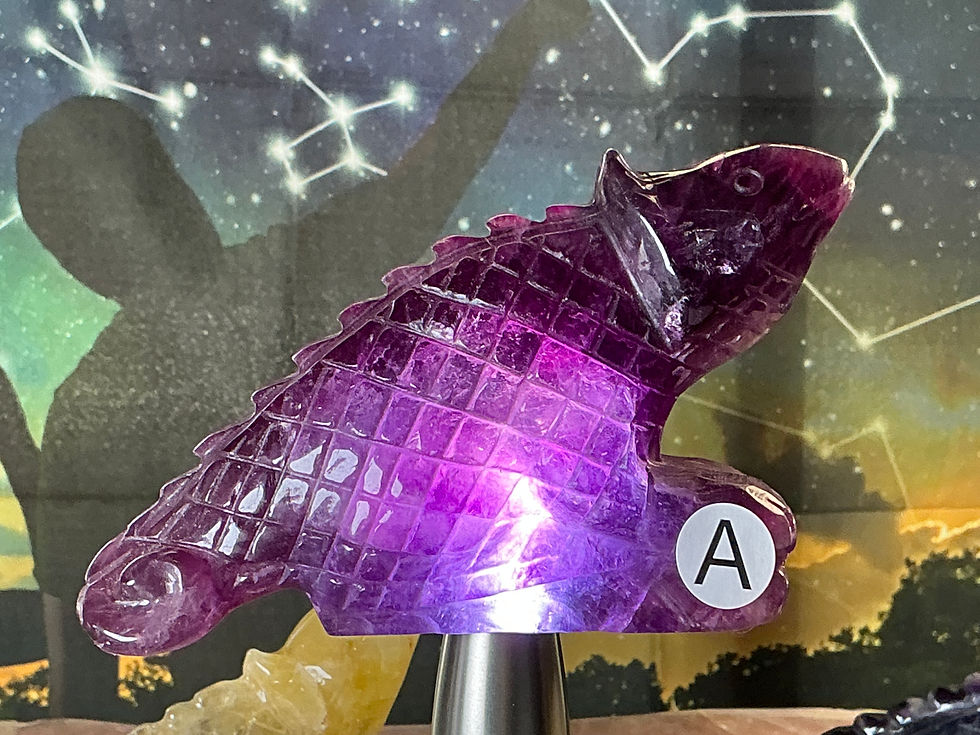Thumbnail: Fluorite Iguanas