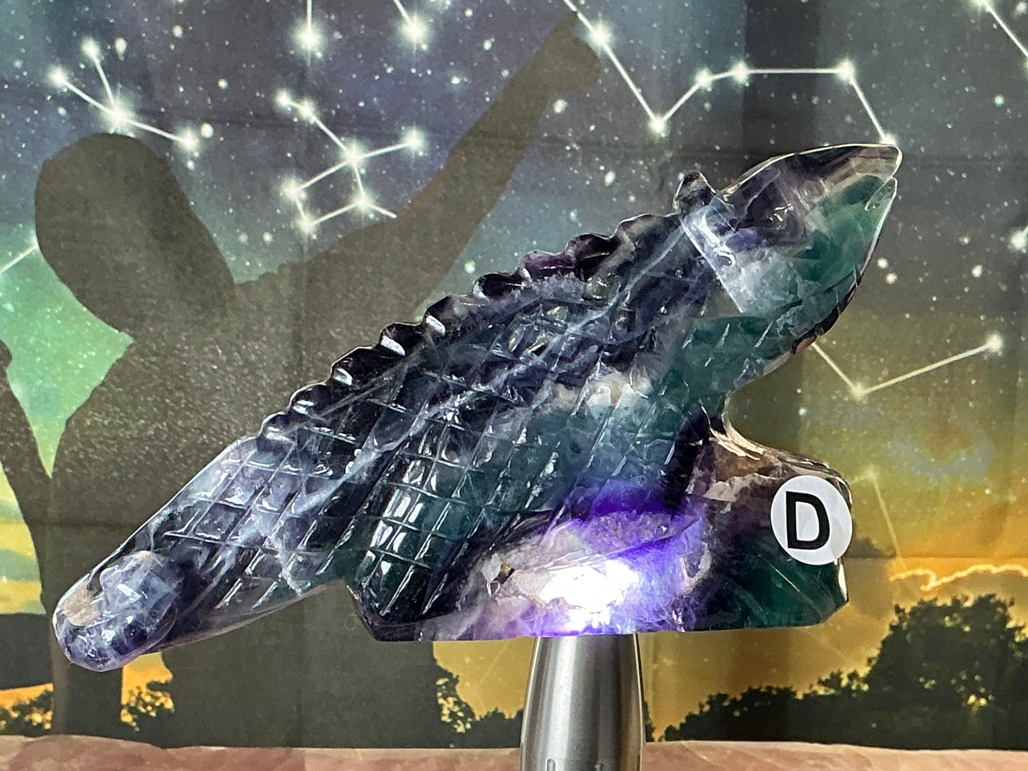 Fluorite Iguanas