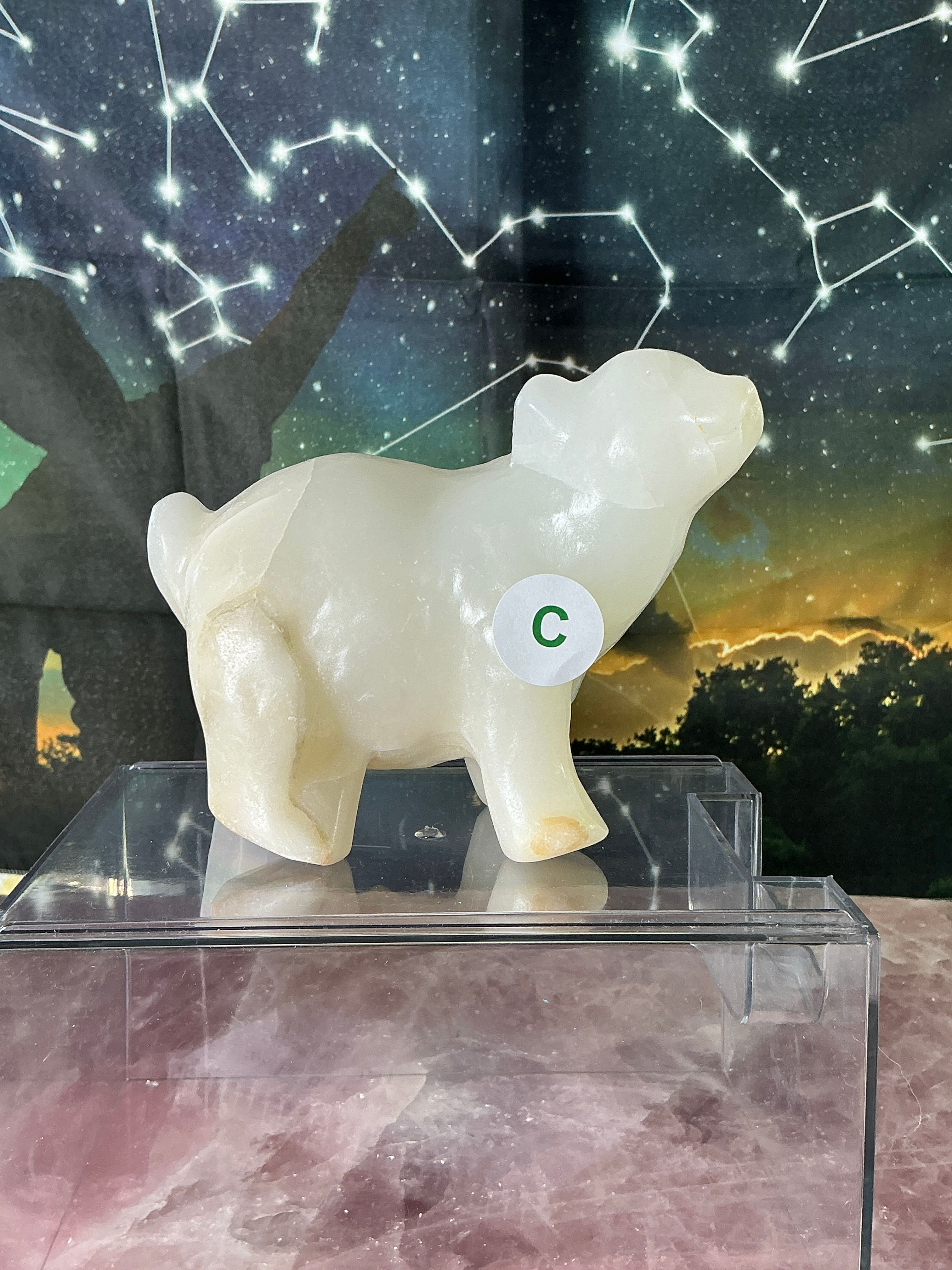 ❄️ White Onyx Polar Bears ❄️