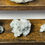 Thumbnail: Apophyllite with Stilbite & Heulandite Crystal Specimens - Clarity, Calm, & Conn