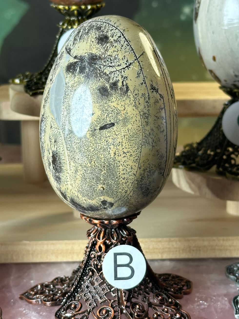 Thumbnail: Picture Jasper Dinosaur Egg Collection