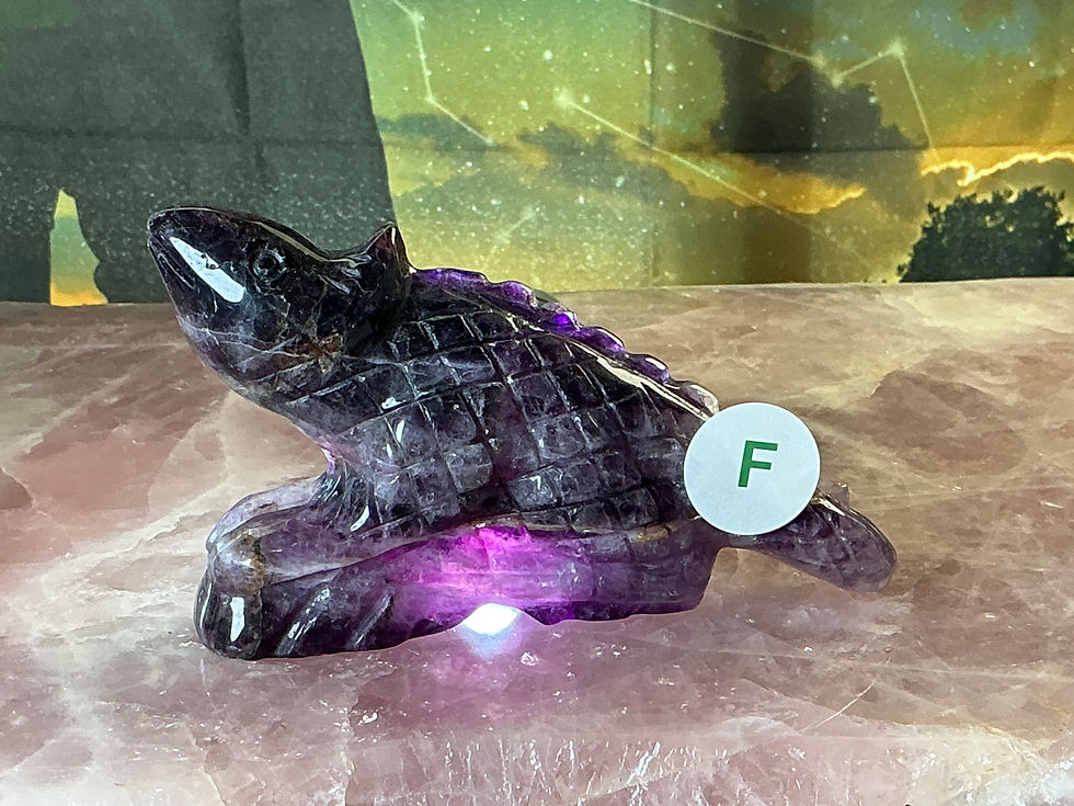 Thumbnail: Fluorite Iguanas