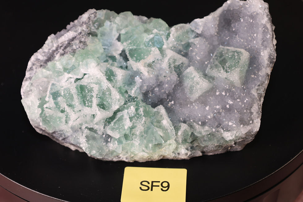 Thumbnail: ✨ Collector’s Grade Sugar Fluorite Statement Specimens