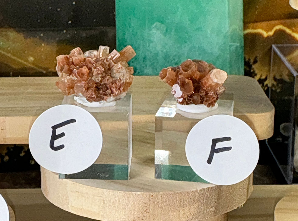Thumbnail: ✨ Imperial Earthfire Aragonite Rosettes — Elite Collector’s Series ✨