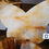 Thumbnail: 🦋 Golden Healer & Fire Quartz Crystal Butterflies