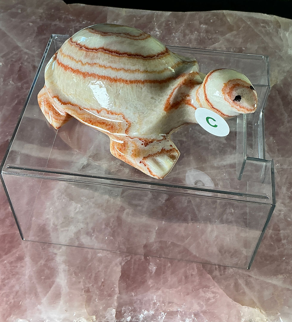 Thumbnail: Pork Stone Turtle Collection