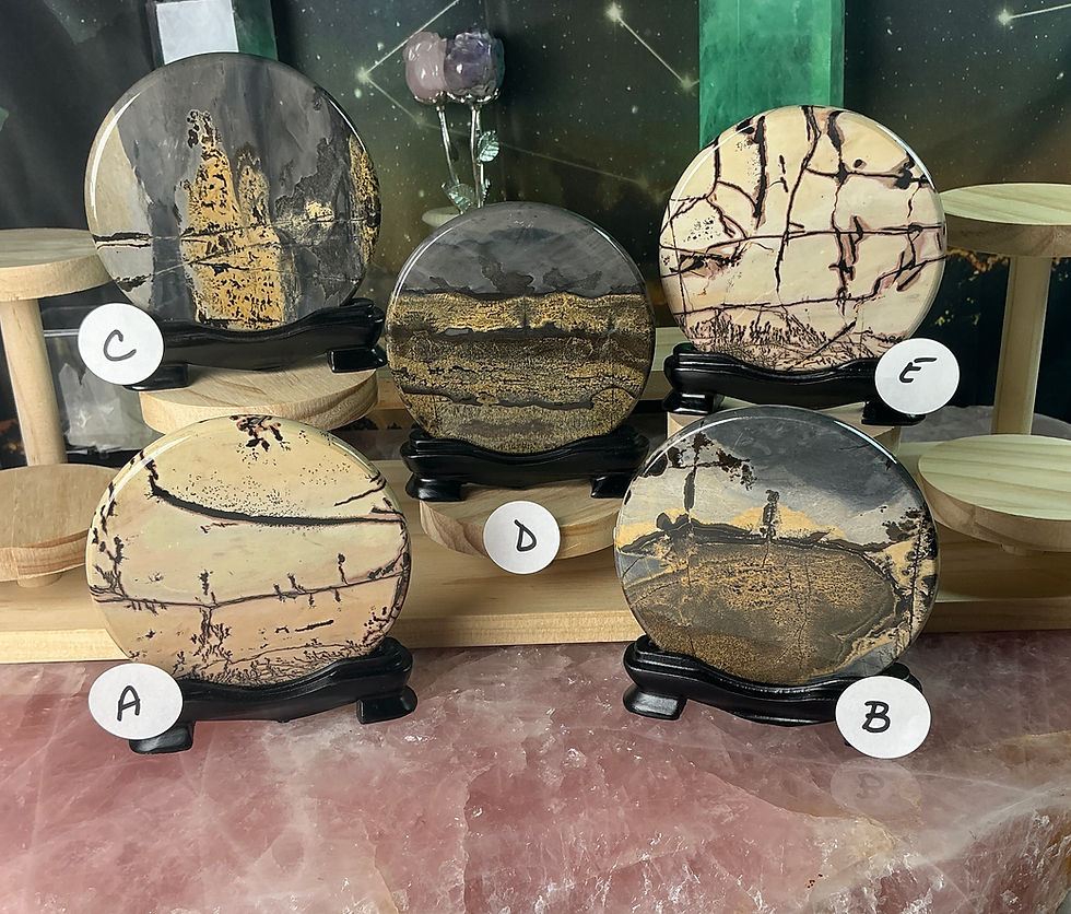 Thumbnail: 🌄 “Earthscape Visions” Picture Jasper Display Plates