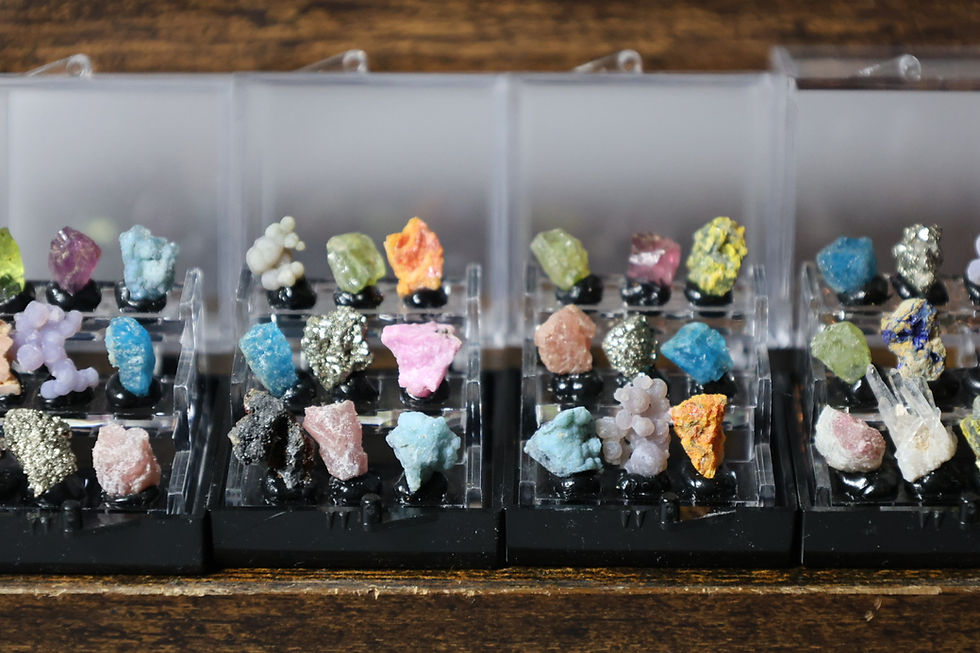 Thumbnail: Mystery Mini Specimen Boxes!