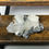 Thumbnail: Apophyllite with Stilbite & Heulandite Crystal Specimens - Clarity, Calm, & Conn