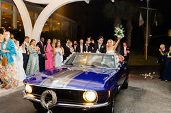 Anna Taylor Photography