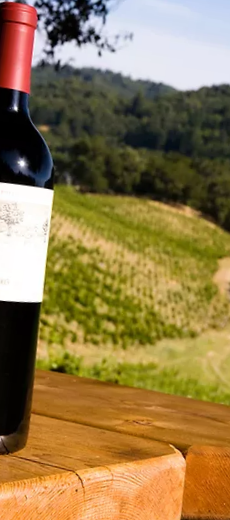 Eye-level view of a rustic writing desk with an open notebook and a vintage pen