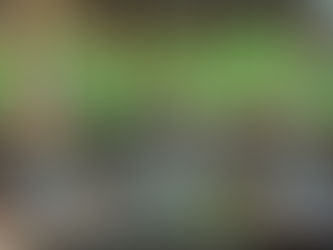 SUNDAY SITREP, 30 NOV