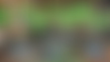 SUNDAY SITREP, 30 NOV