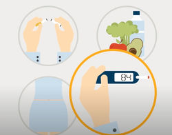 Pharos educational animation