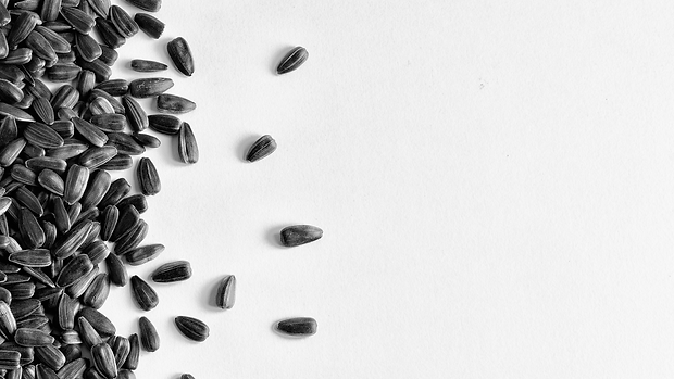 Background_Black and White 5 (1).png