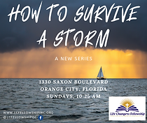 FB_LCF_How_to_Survive_a_Storm.png