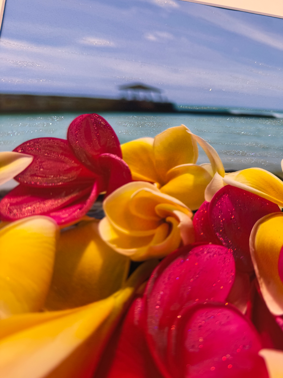 サムネイル： Island Dreams Matted Print