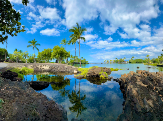 Thumbnail: Big Island Reflections 16" x 20"