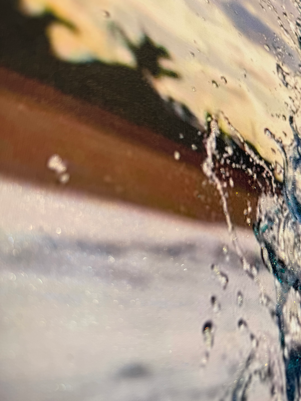 サムネイル： Caught Inside 16" x 30"