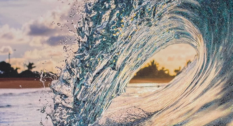 サムネイル： Caught Inside 16" x 30"