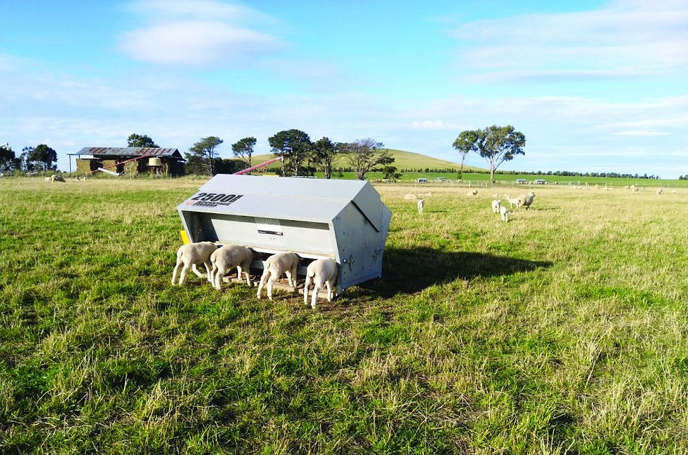 Thumbnail: 2500HD - Advantage Feeder