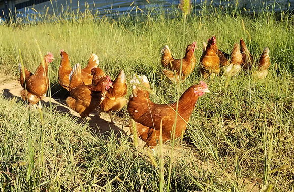 20220923_180956 (1).jpg