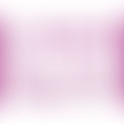 浄念寺 四季の郷