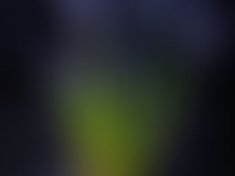 Five dramatically lit blue/purple muscari bulb flowers in a dark blue pot set against a dark background