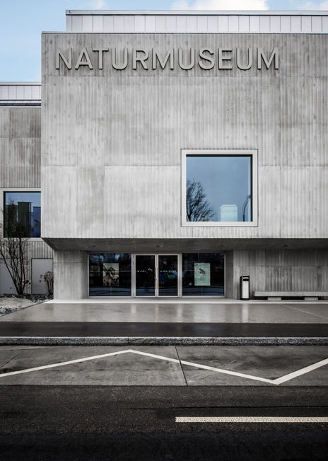 Betongebäude, Eingangsbereich, Naturmuseum St.Gallen