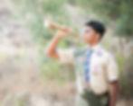 Scouts