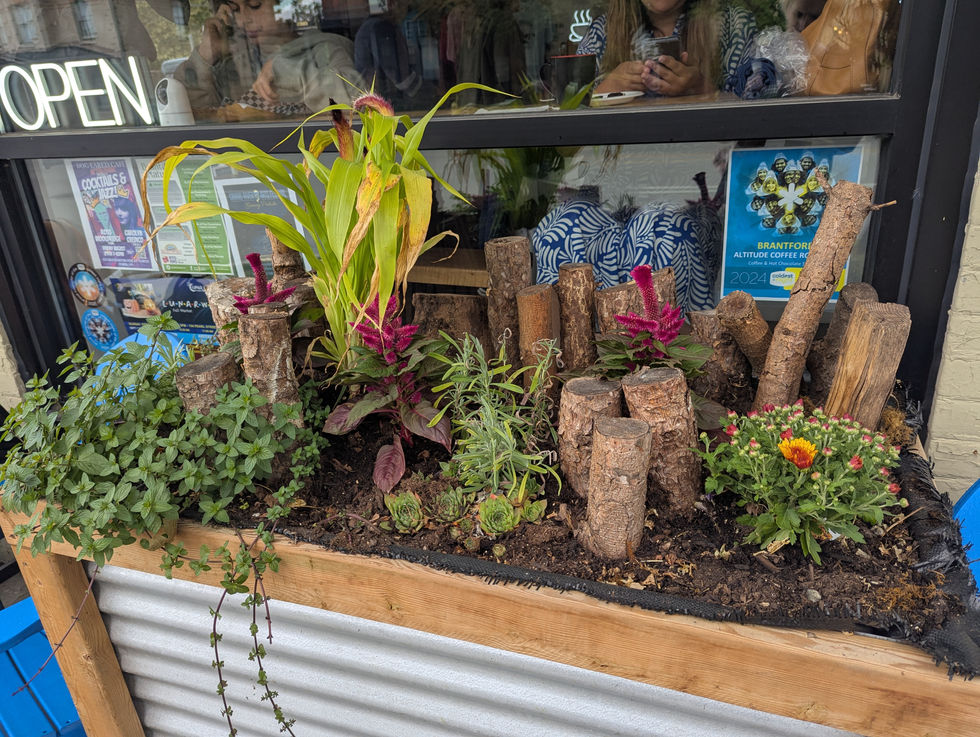 PXL_20250904_151541435