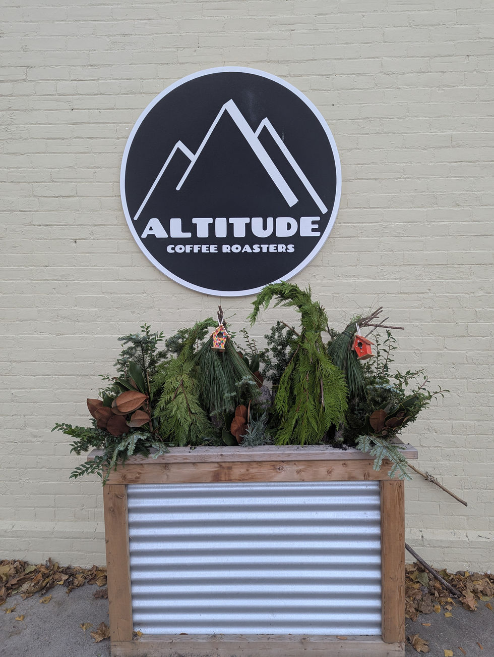 PXL_20251118_211001064