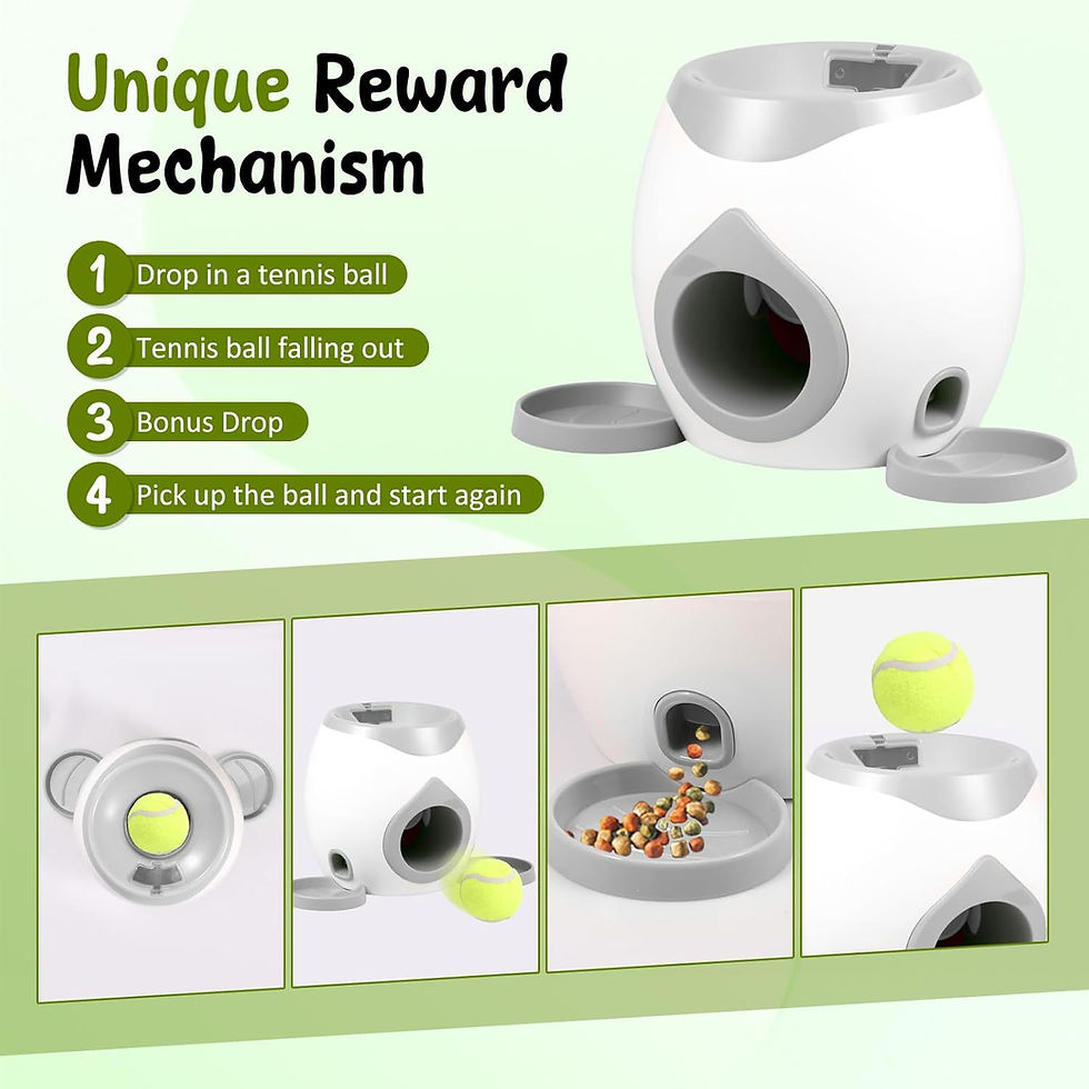 Thumbnail: BobbioLaunch™ Automatic Dog Ball Launcher