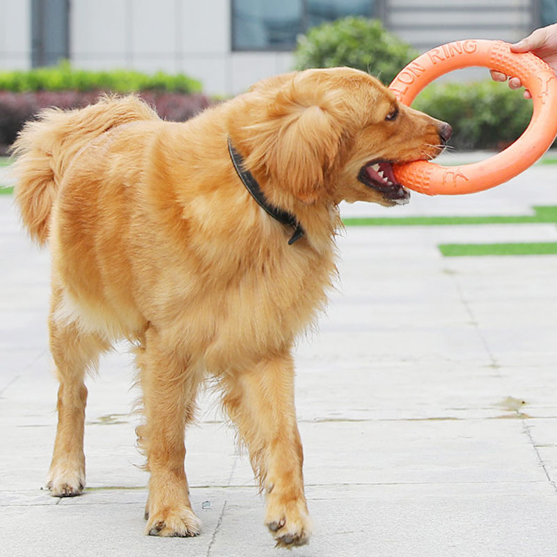 Thumbnail: BobbioPlay™ Flying Ring Toy