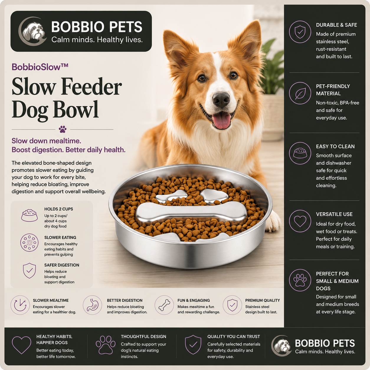 BobbioSlow™ Stainless Steel Slow Feeder Bowl