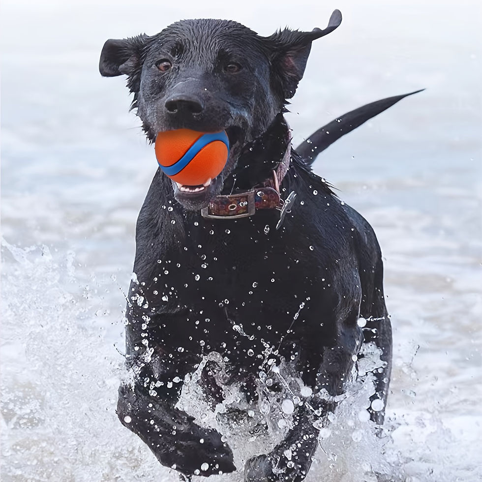 Thumbnail: BobbioPlay™ Durable Silicone Dog Chew Ball