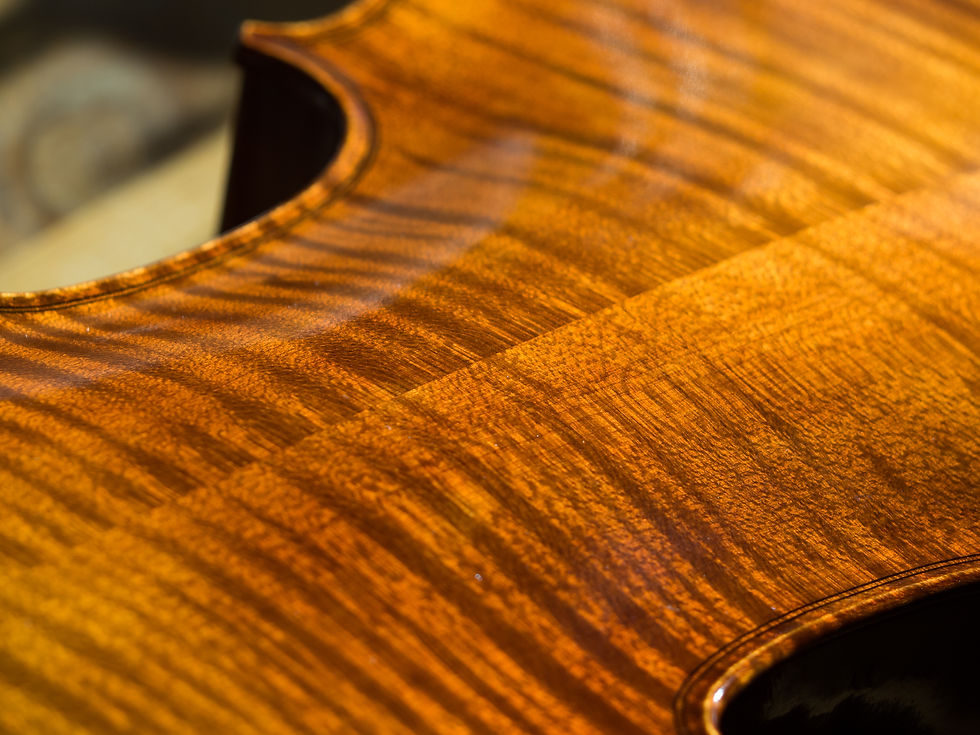 violin making at Aurum Violins