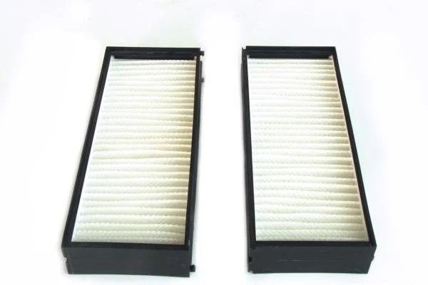 GTC0150 - Cabin Filter equivalent with Mann CU2521-2, Mahle LA356/S
