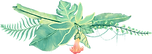 Plantes tropicales