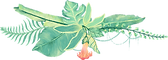 Tropical Plants