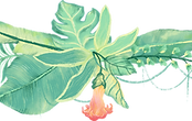 Plantas tropicales