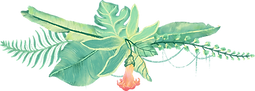 Tropical Plants